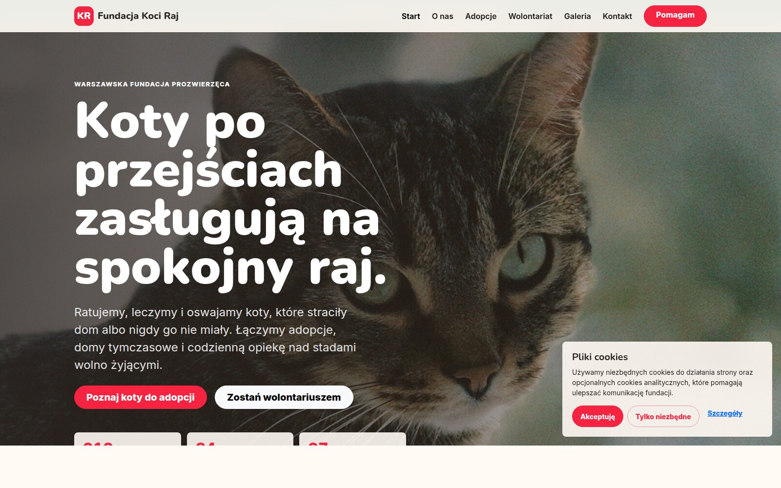 Fundacja Koci Raj